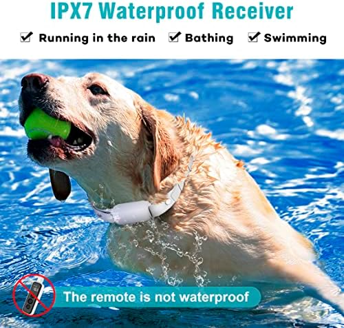 בוסניק כלב הלם צווארון עבור 2 כלבים - עמיד למים נטענת חשמלי כלב אימון צווארון עם מרחוק עבור קטן בינוני גדול