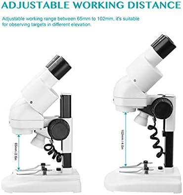 Qdlzlg 2 0x / 40x מיקרוסקופ סטריאו 45 מעלות עיניים מוטות עם עיניים עם עיניים ראשונות LED PCB SALER כלי תיקון נייד