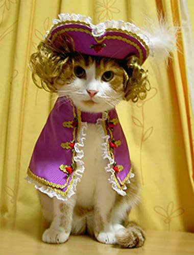 חתול בגדי חנות, חתול פודינג, חתול פודינג, קטן כלב בגדים, קוספליי, בגדים לחיות מחמד, הנצחה צילום, ורסאי סדרה, נסיך מעיל, נסיך