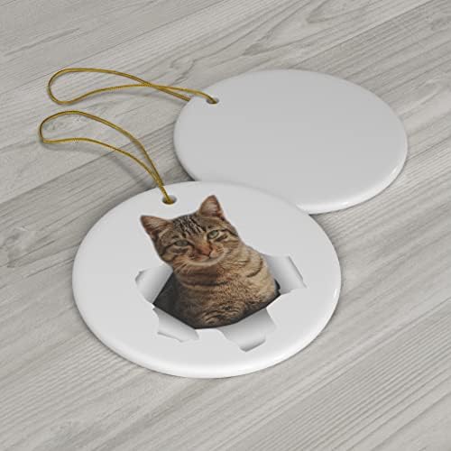 מצחיק טאבי חתול חום לך אם כי מתנות חור 2023 קישוטים לעץ חג המולד מעגל קרמיקה