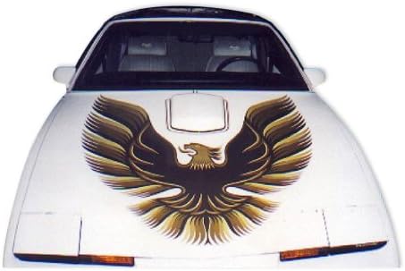 1985 1986 1987 שימוש בהתאמה אישית פיירברד טרנס אם מכסה המנוע מכסה המנוע - בורג'ונדי
