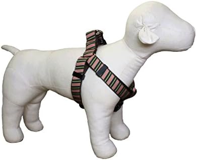 כפות כפות ארהב צווארון כלבים של שעועית ארהב, גדול, צבעוני