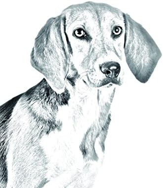 הארייר, מצבה סגלגלה מאריחי קרמיקה עם תמונה של כלב