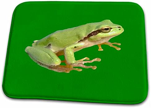 3 עלה חמוד אירופאי ירוק עץ צפרדע לגזור-אמבטיה אמבטיה שטיח מחצלות