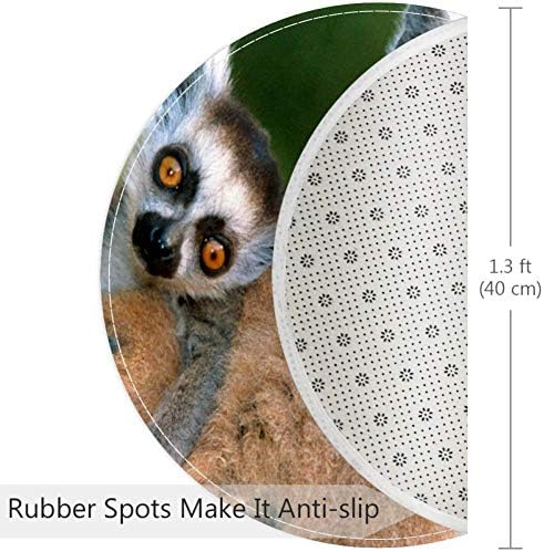 Heoeh Lemur אמא אוהבת תינוק, שפשפת לא להחליק 15.7 שטיחי שטיחים שטיחים שטיחים לילדים לחדר שינה לחדר שינה חדר משחק