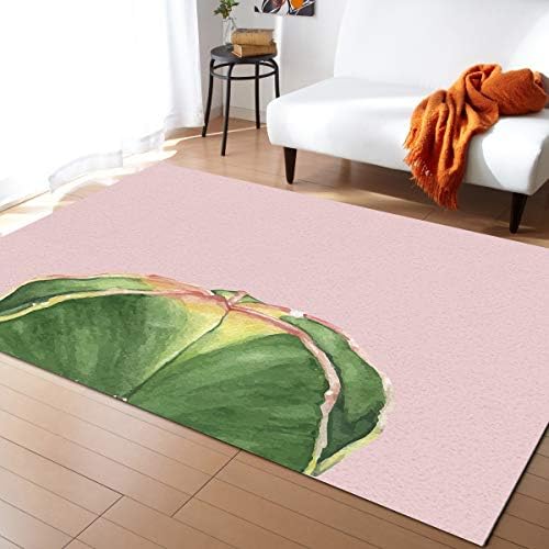שטיחים באזור מודרני מקורה לסלון, צמחים כניסה למגרש שטיחים נמוך עריכה לחדר שינה לחדר ילדים, קקטוס צבעי מים ירוק על רקע ורוד