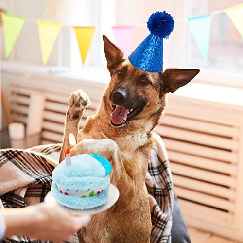 סט בנדנה יום הולדת של אורצ'קו כלב - כלב משובץ בנדנה משולש צעיף ועוגה