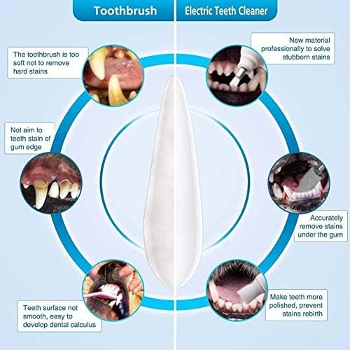 חיות מחמד חשמלי מברשת שיניים חתול כלב שיניים נקי הלבנת כלי עם 4 ליטוש ראשי, שיניים טיפול לבית מרפאת