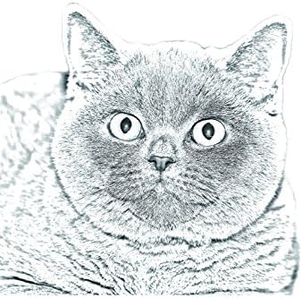 ארט דוג, מ.מ. בריטי קצר, מצבה סגלגלה מאריחי קרמיקה עם תמונה של חתול