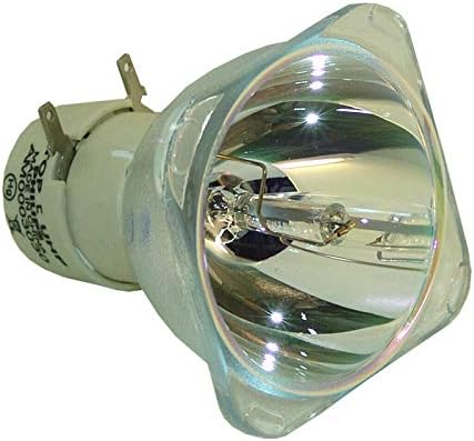 SKLAMP 5J.J9R05.001 החלפה מנורה חשופה ל- BENQ MS504 MS524 MS524A MW526A MX525 MX525A, נורת OEM בפנים