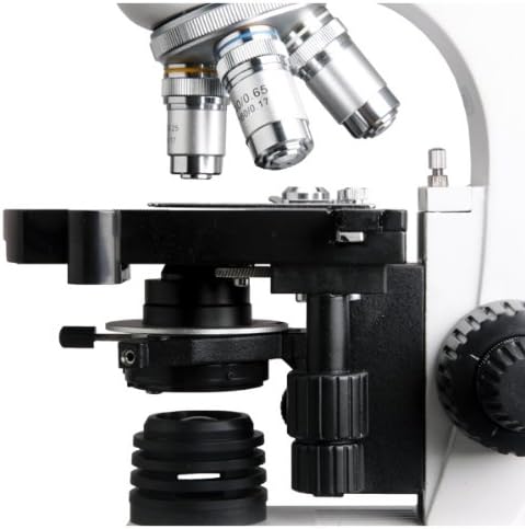 AMSCOPE T360B-8M מיקרוסקופ תרכובת טרינוקולרית דיגיטלית, הגדלה של 40X-2000X, עיניים WF10X ו- WF20X, Brightfield,
