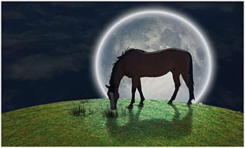 מחזיק מברשת שיניים קרמיקה של חוות אמבסון, סוס מצויר על הגבעה בלילה עם ירח, משטח דקורטיבי רב -תכליתי לחדר אמבטיה, 4.5