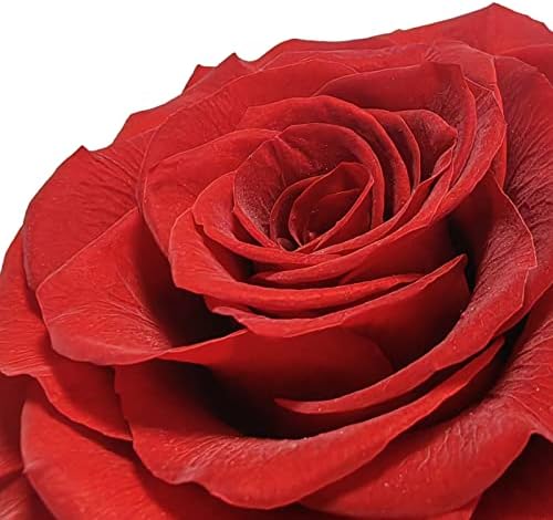 Ierkeie המתנות הטובות ביותר לאמא מהבת בן, ורד אדום נצחי עם אני אוהב אותך שרשרת לב, מתנות ורדים נשמרות לאמא ביום האמהות חג המולד