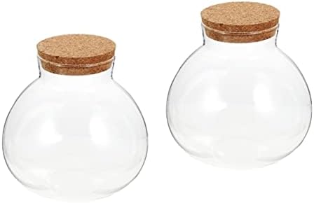 חריץ 2 יחידות מיני מכולות מיני עיצוב בוטני מיכלי זכוכית מיכלי אחסון ריק בקבוק דיו בקבוק אקולוגי זכוכית בקבוק