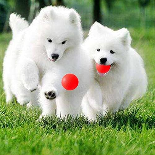 Koikosefvs בלתי ניתן להריסה כדור גומי מוצק חיות מחמד כלב צעצוע אימון הלעיסה לשחק נשיכה toysdogtoysdogsuppliesspuppyигршидобак