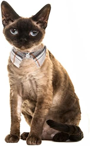 2 מארז/סט חתול צווארון הבדלני עם חמוד עניבת פרפר פעמון משובץ עבור קיטי מתכוונן בטיחות