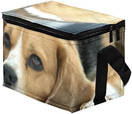 תיק ארוחת צהריים מבודד טבובט קופסת ארוחת צהריים לנשים לנשים, חיה של כלב ביגל
