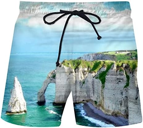 מכנסי לוח לגברים קצרים רופפים התאמה תלת מימדית מודפסת בהוואי בגדי חוף גזעי שחייה בטנה רשת בסיסית של אימון יבש מהיר