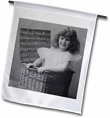 3סל ורוד מלא שובבות ילדה קטנה בסל 1890 צילום ויקטוריאני - דגלים