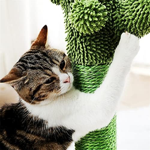 חתול עץ קקטוס חתולי גרוד עם סיסל חבל קיטרן גרדן קקטוס עבור צעירים ומבוגרים חתולי חתולי טיפוס מסגרת צעצוע