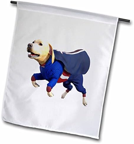 3drose boehm גרפיקה מצוירת - Cartoon Labrador בחליפת כלבים סופר - דגלים