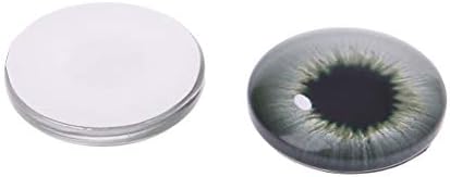 Newesoutorry 20 יחידות זכוכית לבובה עיניים בובה מלאכות עיניים של בעלי חיים לדינוזאור עין אביזרת עצמית עיניים