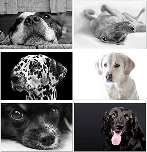 ברכות עולם קטנות כרטיסי הערת כלבים 12 ספירה - ריק בפנים עם מעטפות - A2 גודל 5.5 x 4.25 - כל האירועים - יום הולדת, תודה