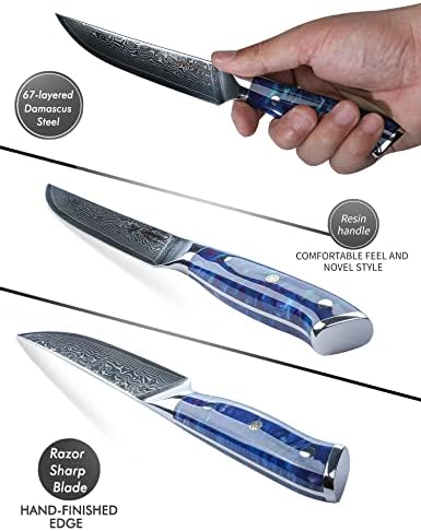 סכיני בישול שף של Sanmuzuo סט - סט סכין מטבח של 5 חלקים - חריפה אולטרה -חדה VG10 דמשק פלדה ושרף ידית - סדרת Xuan