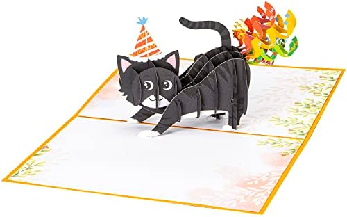 כרטיסי יום הולדת לחתול Createreeredo, כרטיסי קופץ לחתולים קופצים כרטיסי יום הולדת לאוהבי חתולים, נשים, גברים,