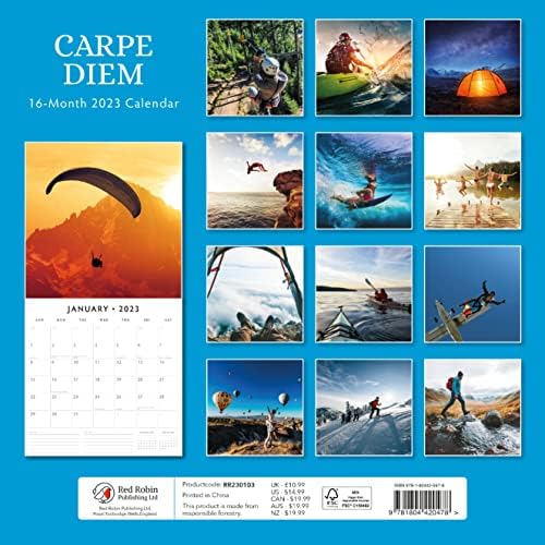 2023 לוח השנה הקיר החודשי של Carpe Diem מאת Robin Robin 12 x 12
